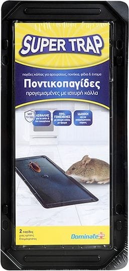 xlarge_20250806124719_pagida_kollas_2428_2tmch